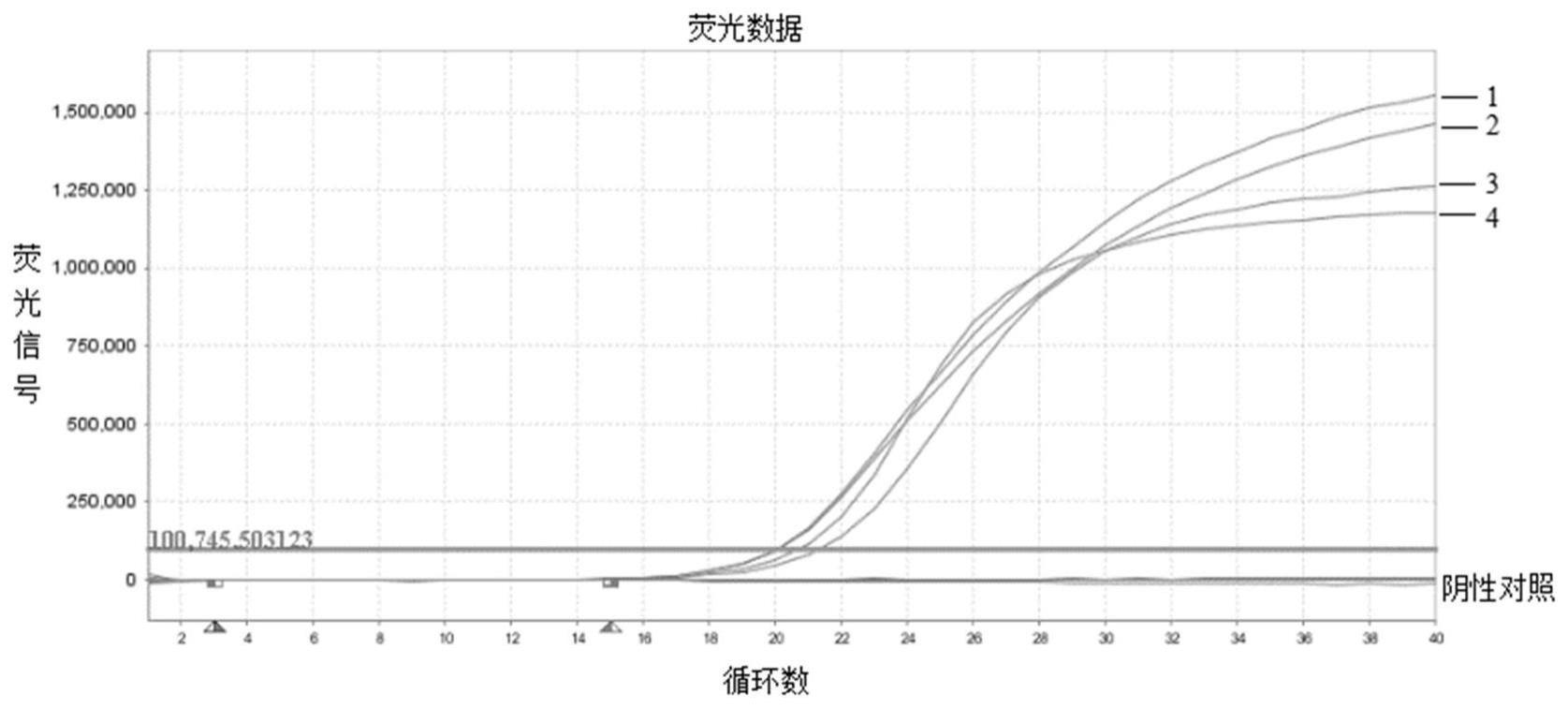 包虫病检测引物、探针、试剂盒及应用的制作方法