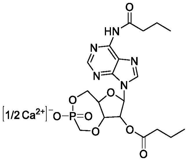 一种二丁酰环磷腺苷钙及其制备方法与流程