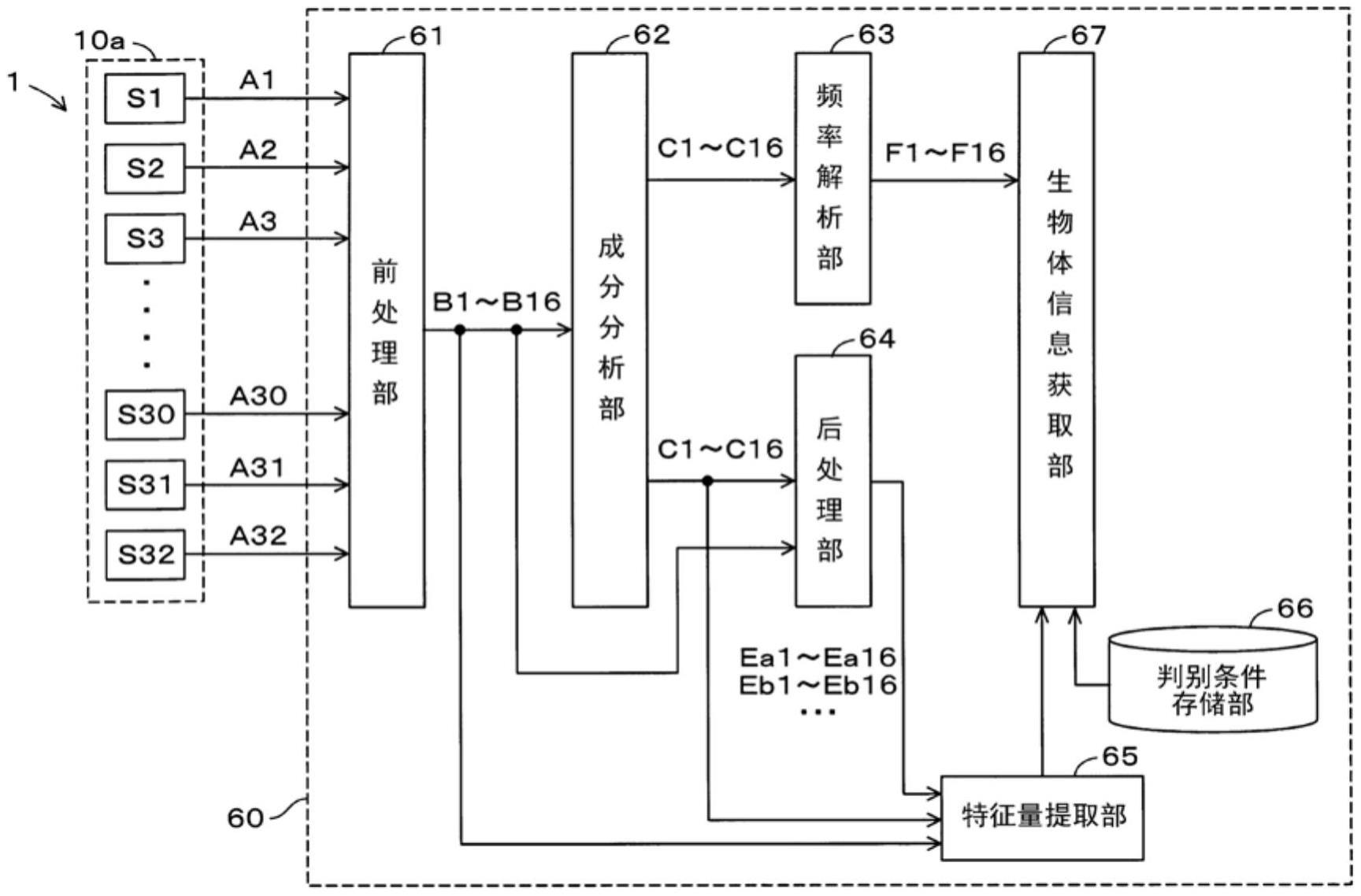 生物体信息测量装置的制作方法