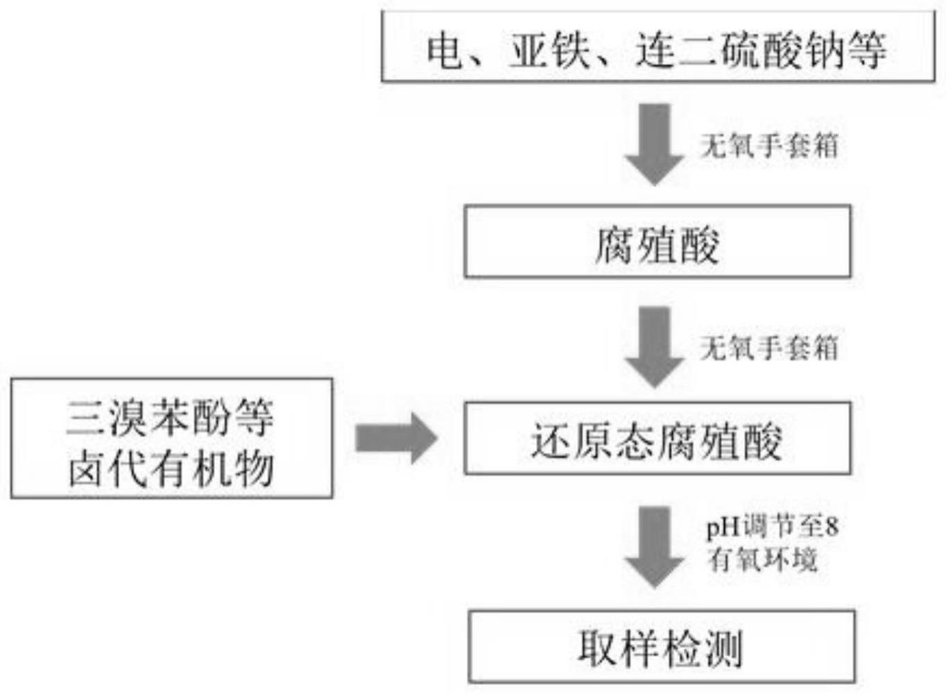 一种利用还原态腐殖酸降解卤代有机污染物的方法