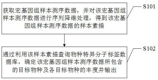 用于宏基因组物种成分及丰度定量的数据处理方法、装置及存储介质