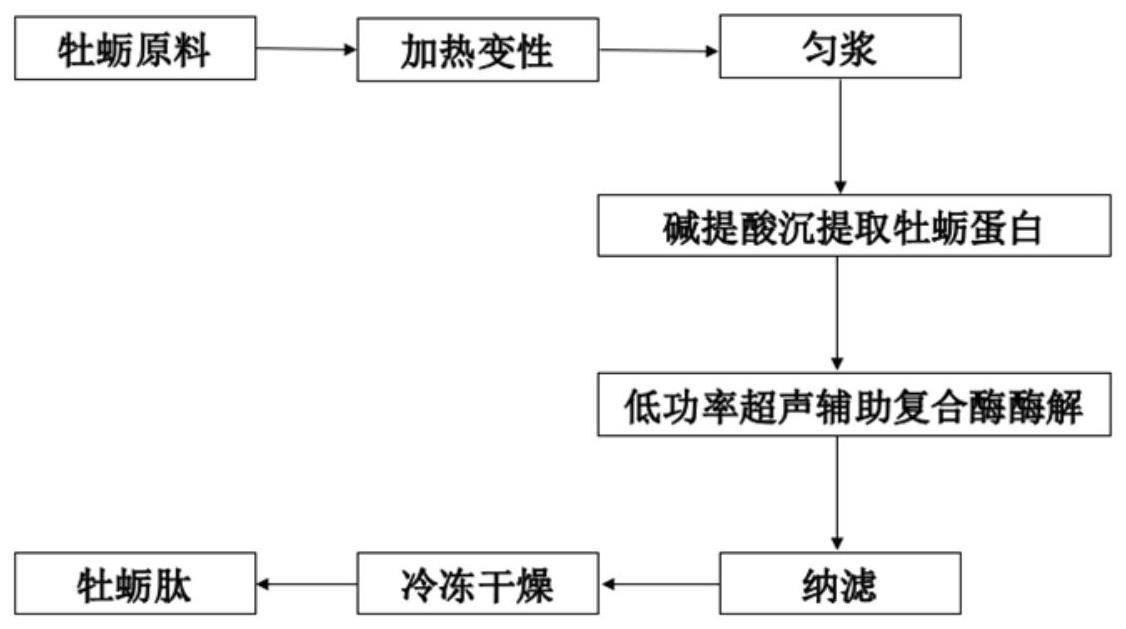 一种低频超声场辅助酶解制备降脂牡蛎肽的方法