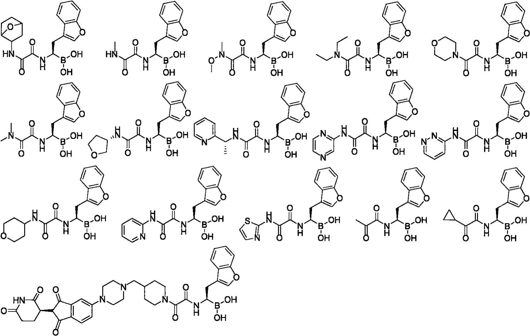 硼酸衍生物的制作方法