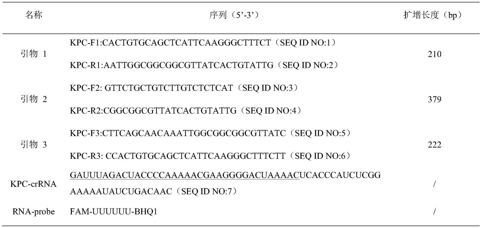 一种基于CRISPR/Cas13a快速检测blaKPC基因的方法与流程