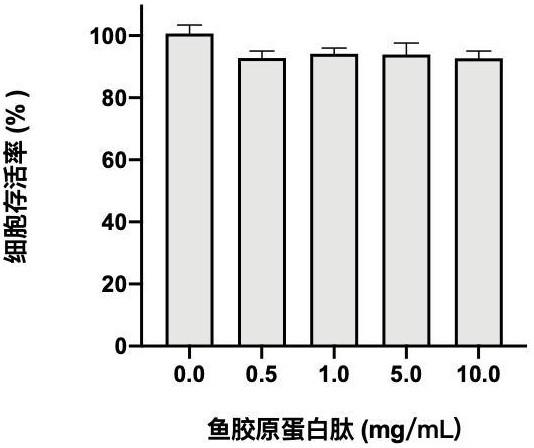 一种高纯鱼胶原蛋白肽的制备方法及其在皮肤健康方面的应用与流程