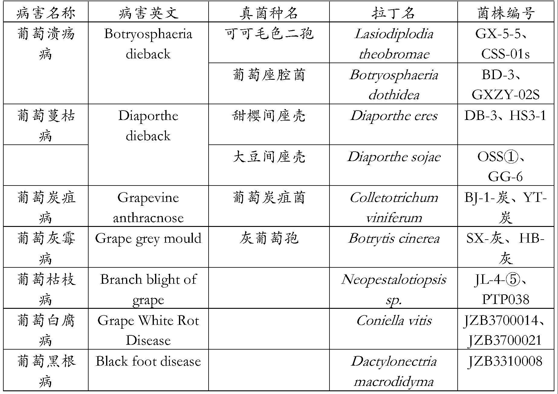 一株多粘类芽孢杆菌及其应用