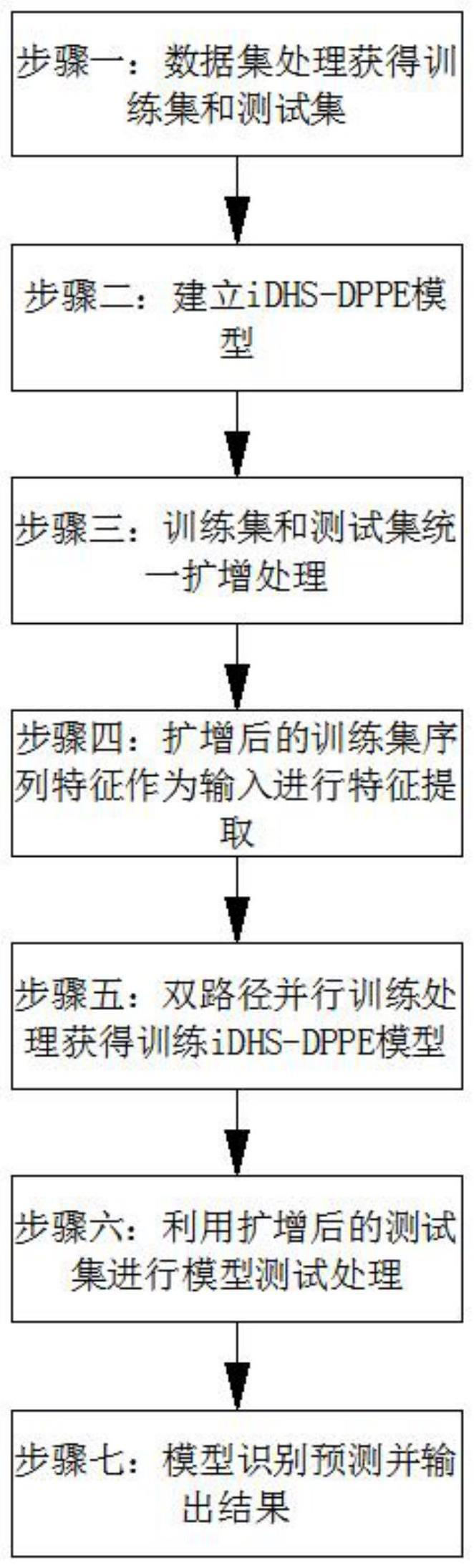 一种基于双路径并行集成决策的DHSs识别预测方法