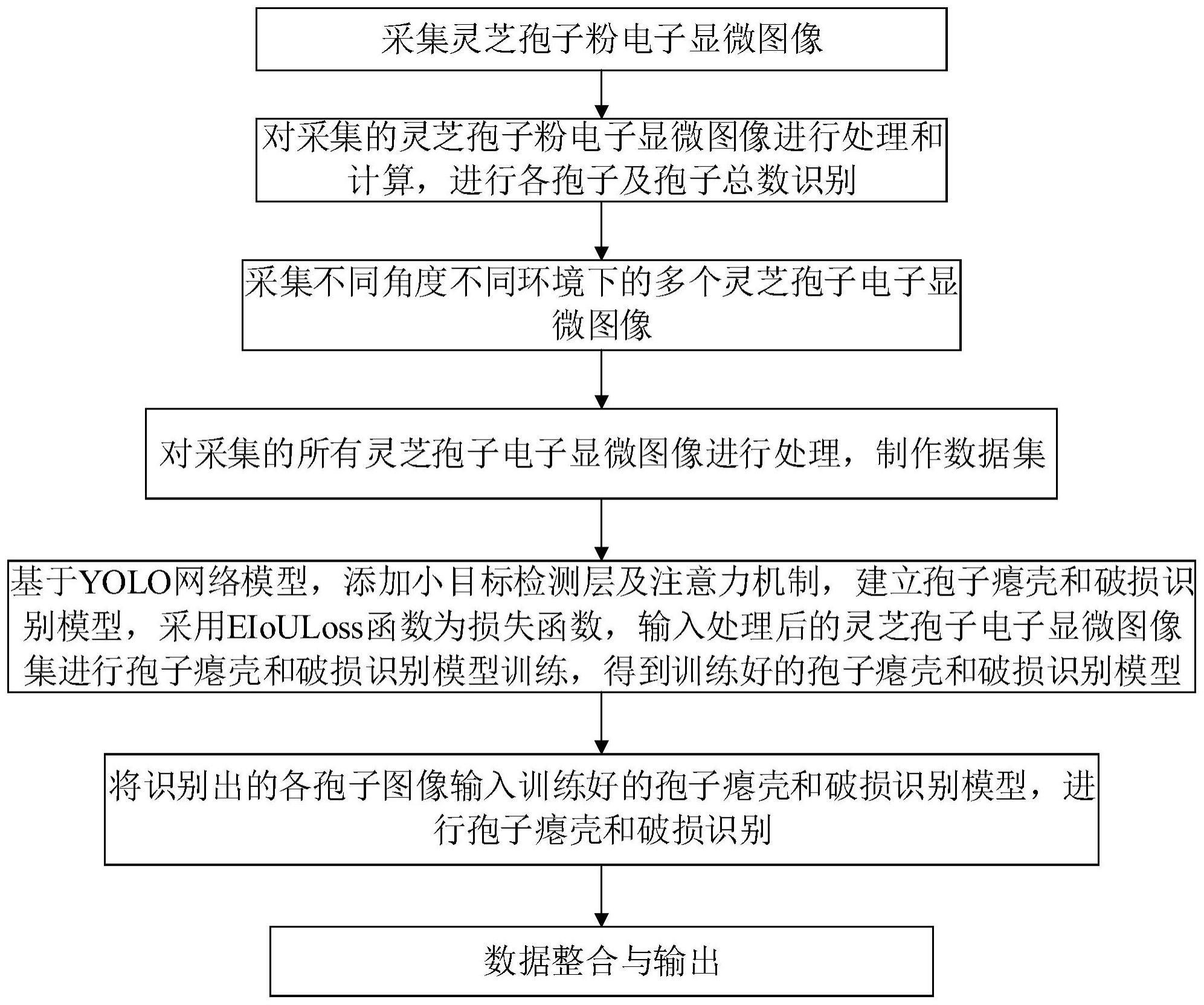 基于计算机视觉的灵芝孢子粉显微图像识别方法及装置与流程