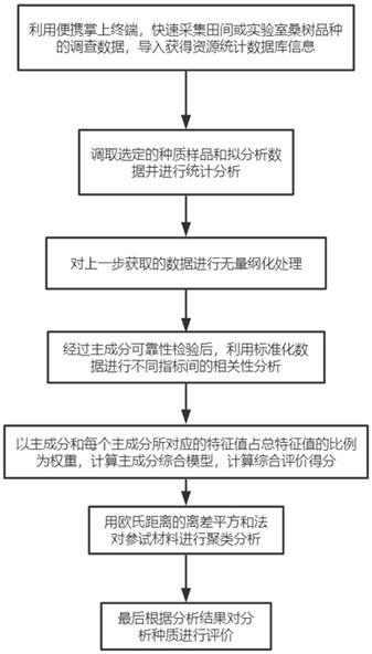 一种桑树种质资源的高效综合评价方法及其系统