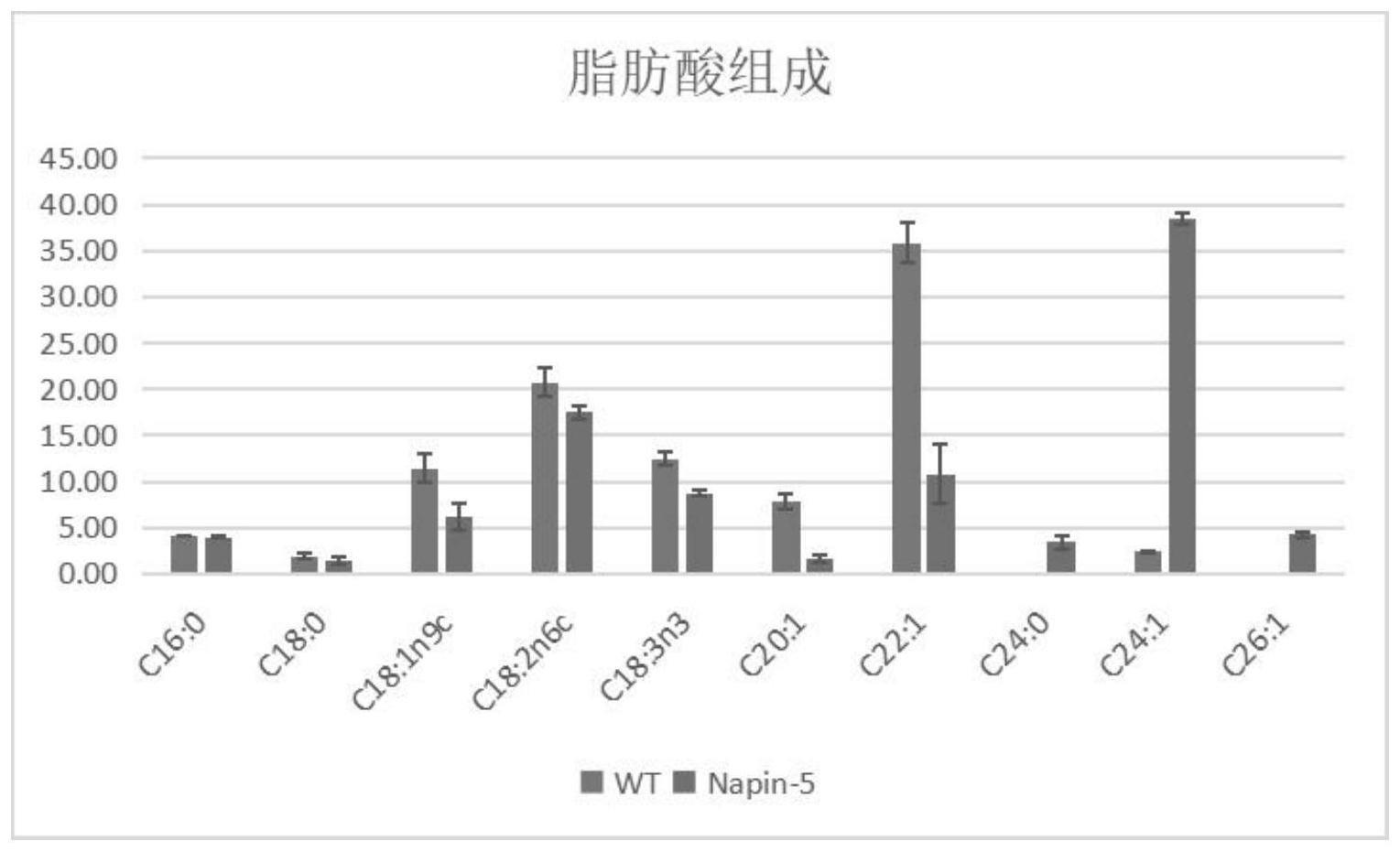 一种多基因叠加方法在油菜中合成神经酸的应用