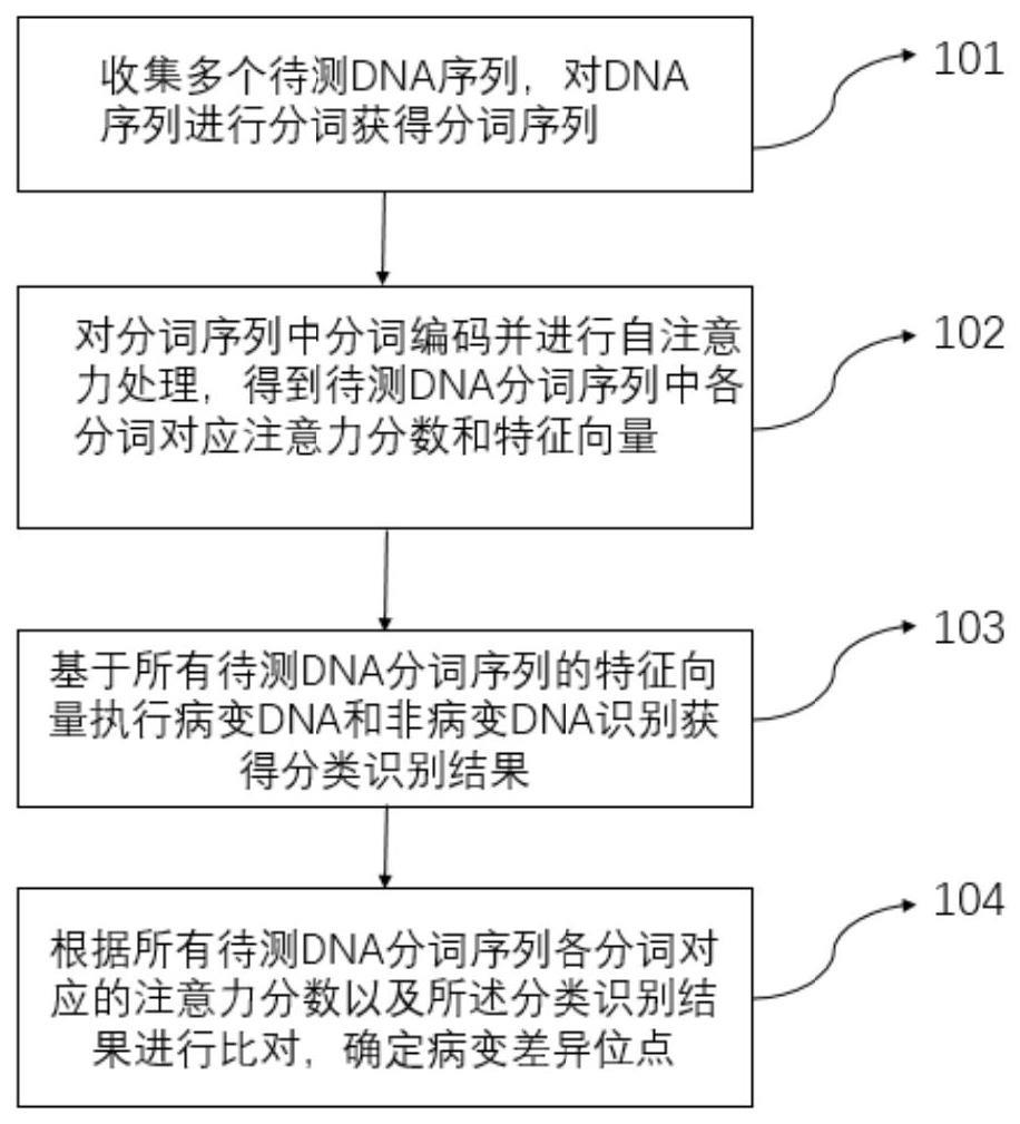 病变差异位点识别方法、装置、设备和存储介质与流程