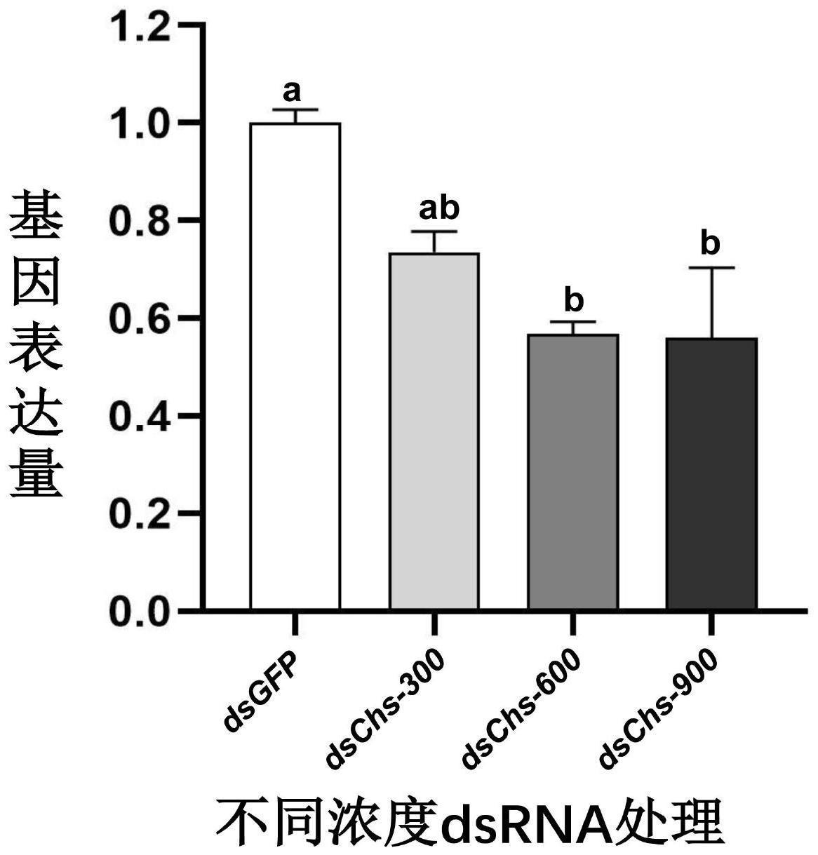 一种三叶斑潜蝇预蛹期浸泡dsRNA抑制靶标基因表达的方法