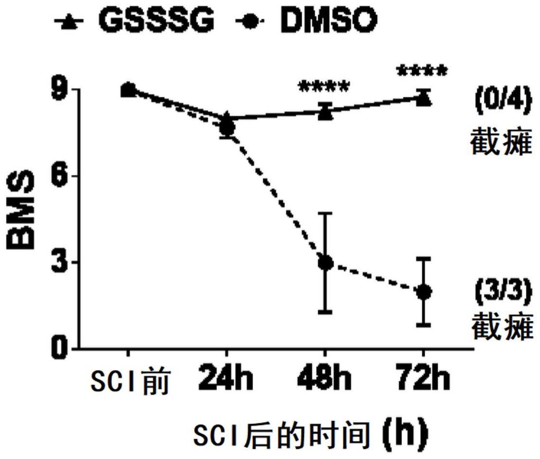 神经保护中的谷胱甘肽三硫化物(GSSSG)的制作方法