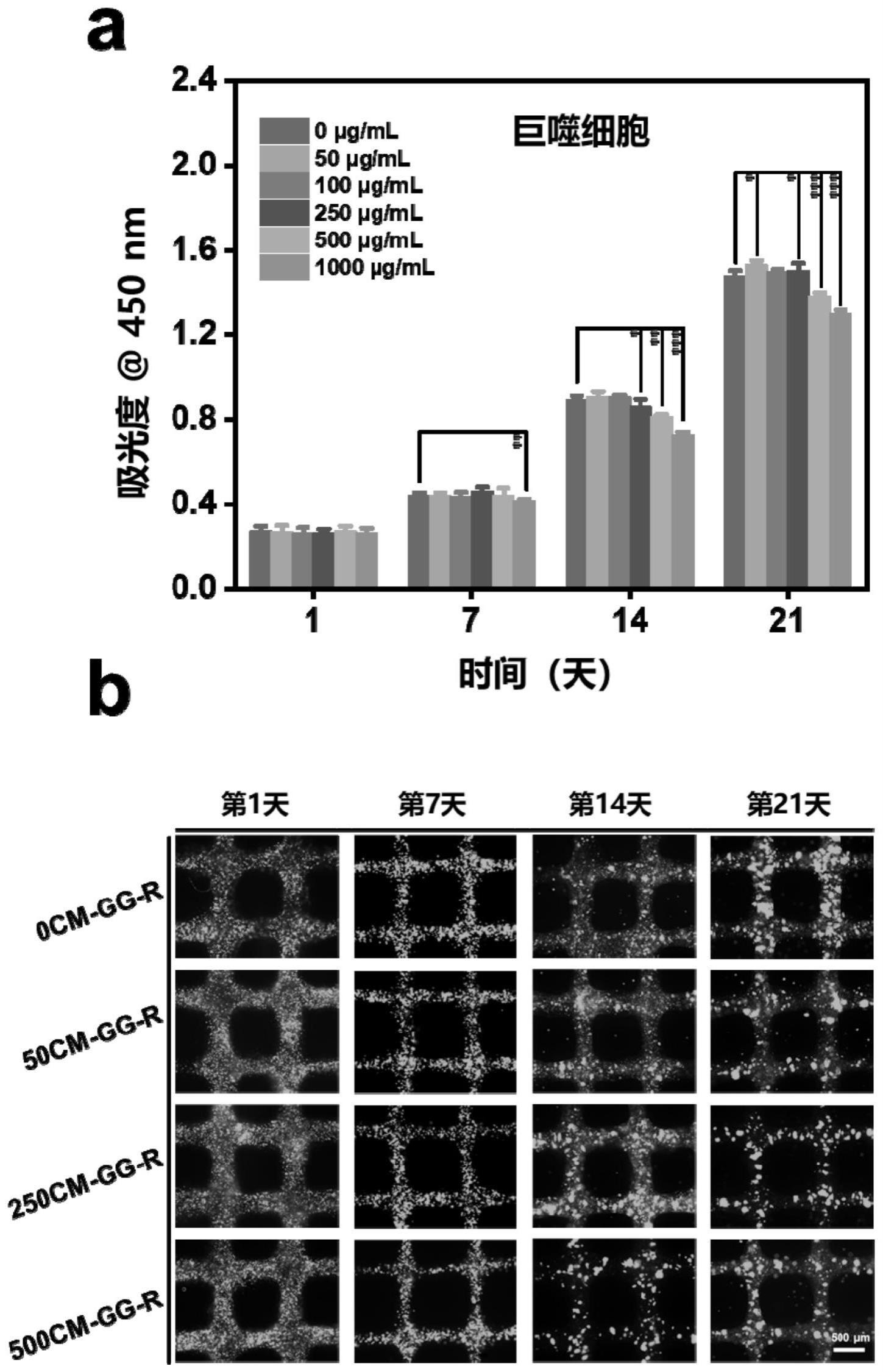 生物墨水、可免疫调节促毛囊再生的细胞支架及其制备方法和应用