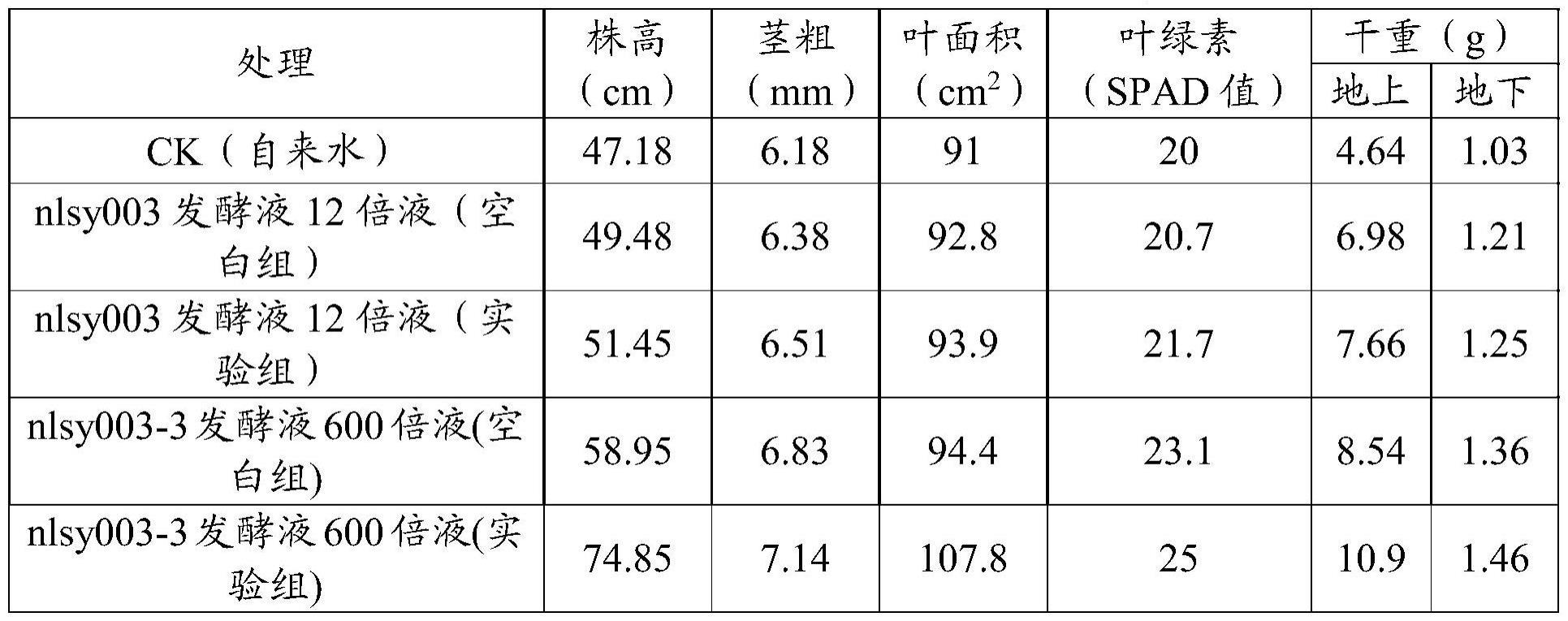 高氮型油菜假单胞菌及其发酵方法和应用与流程