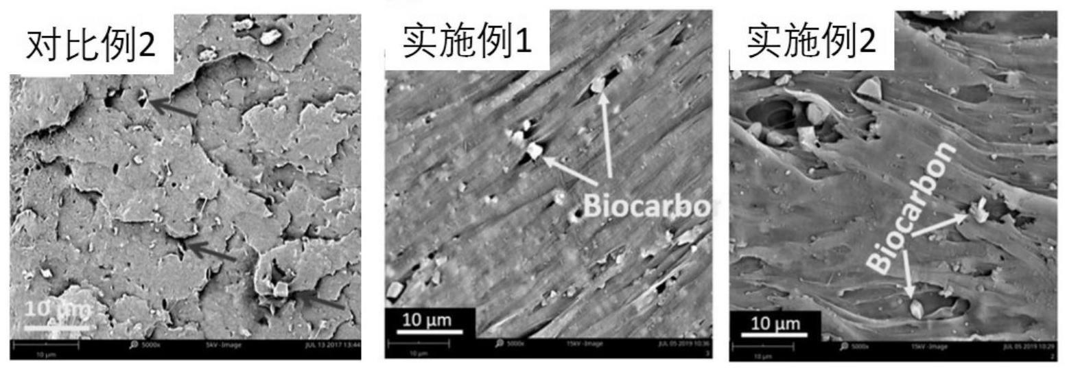 一种具有土壤保护效应的可生物降解地膜及其制备方法