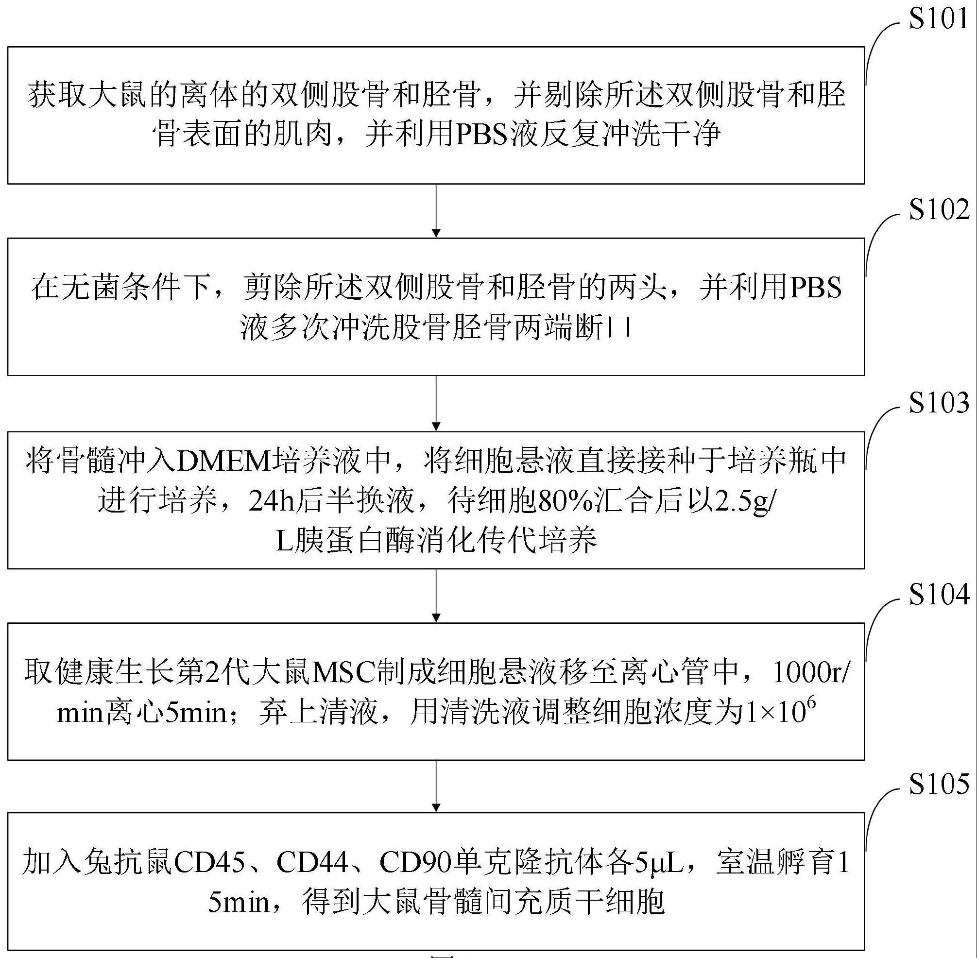 一种大鼠骨髓间充质干细胞的分离及培养方法