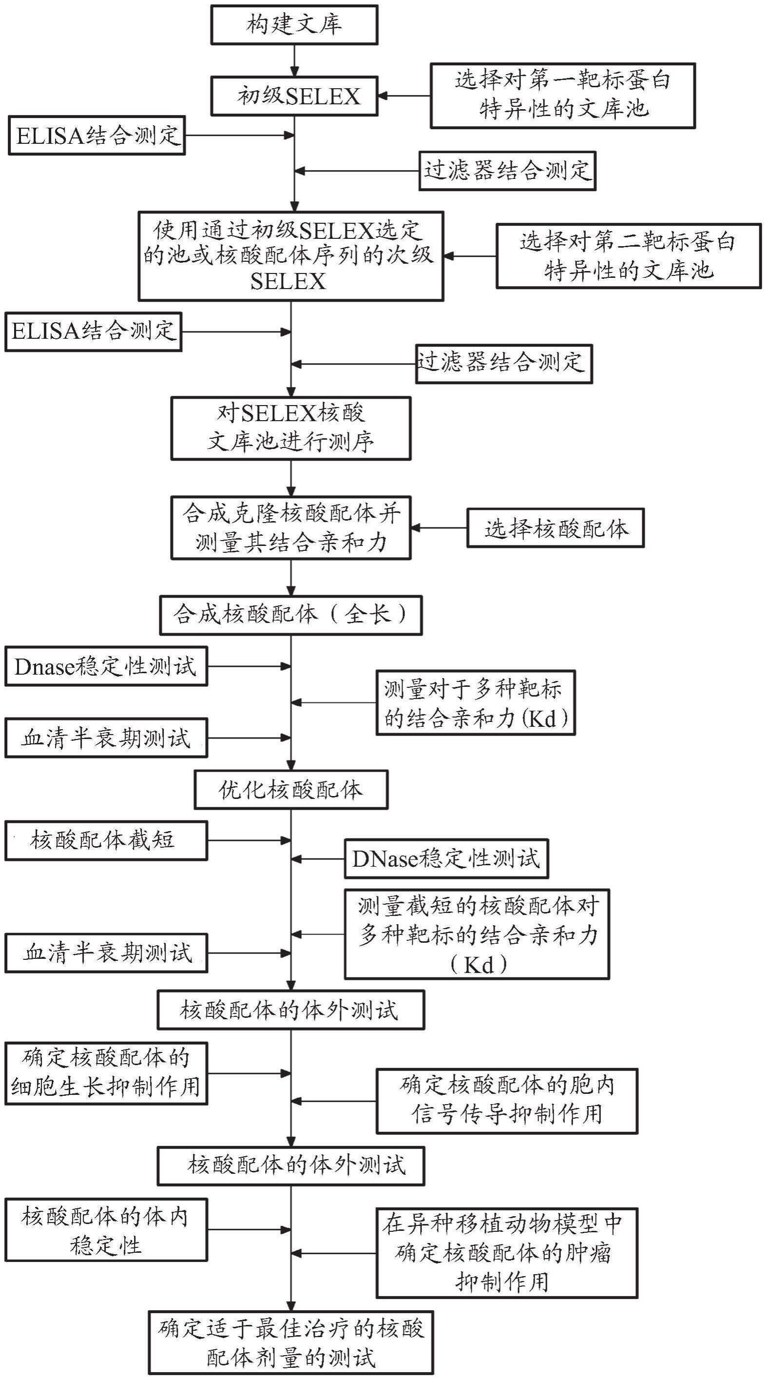 新的核酸配体及其鉴定方法与流程