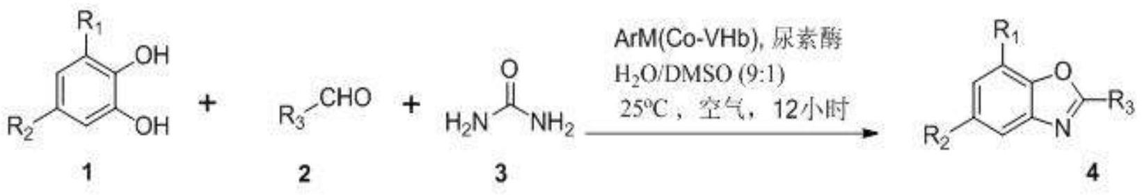 一种双酶系统催化2 烷基、芳基苯并噁唑衍生物的方法 5765