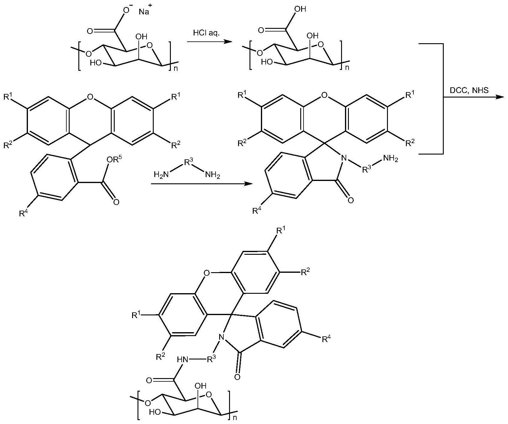 一种内酰胺荧光物质接枝的海藻酸钠荧光衍生物及其制备方法与流程