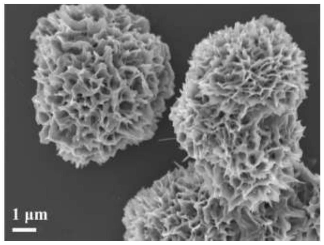 一种金属离子、水分子共掺杂的钒基材料及其制备方法与流程