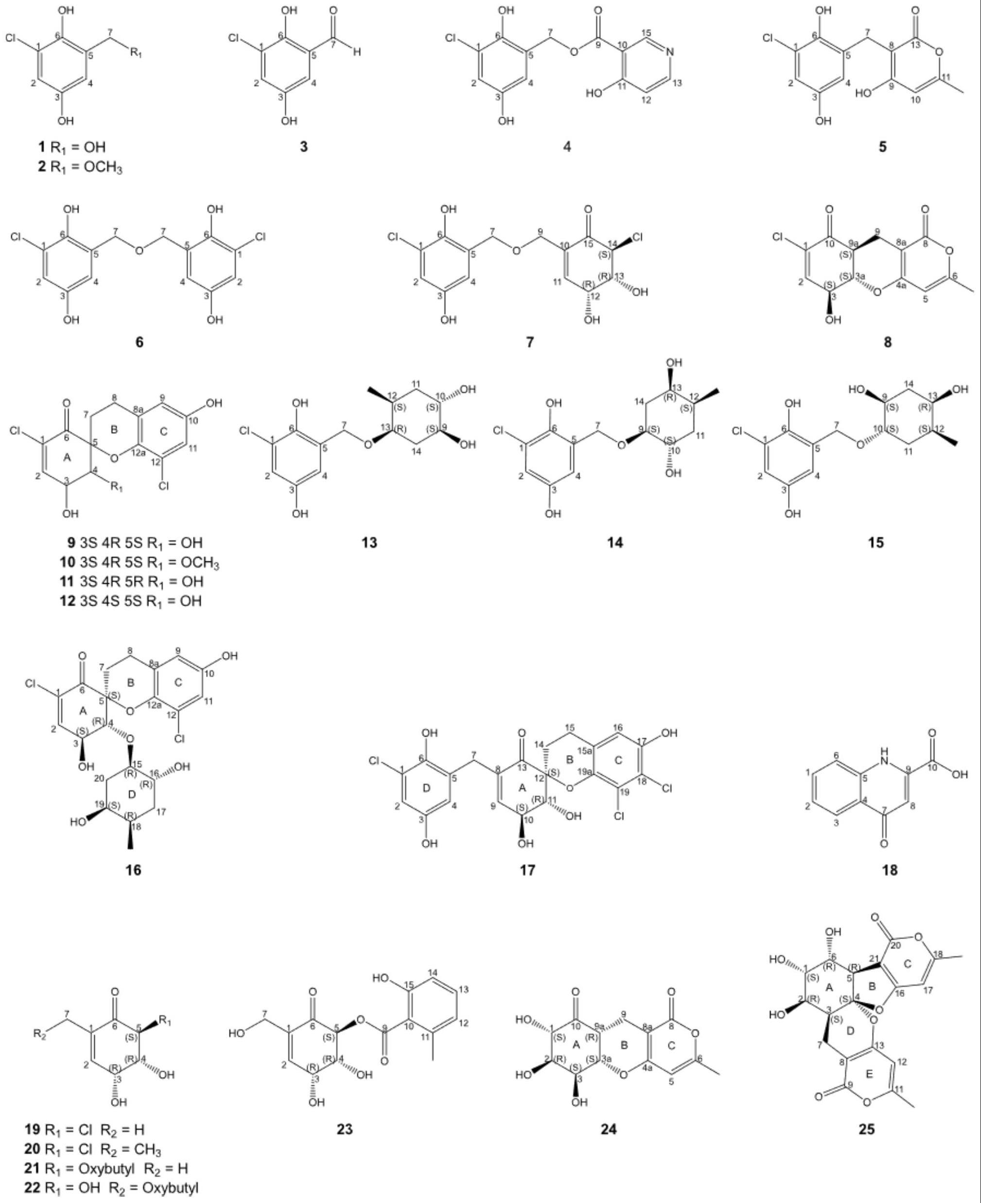 一类多羟基环己烷衍生物及其制备方法和应用