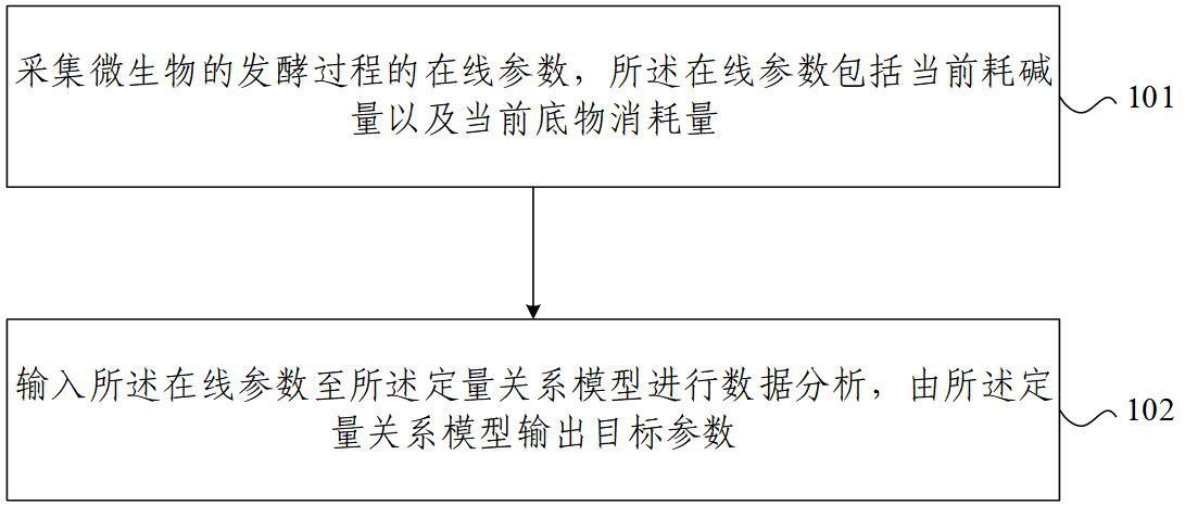 定量关系模型及应用、发酵监测方法、装置、系统、设备与流程