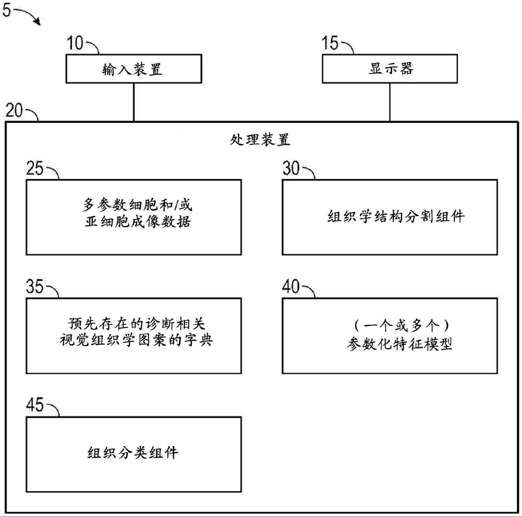 数字化组织图像中诊断相关的组织学图案的参数化建模和推断