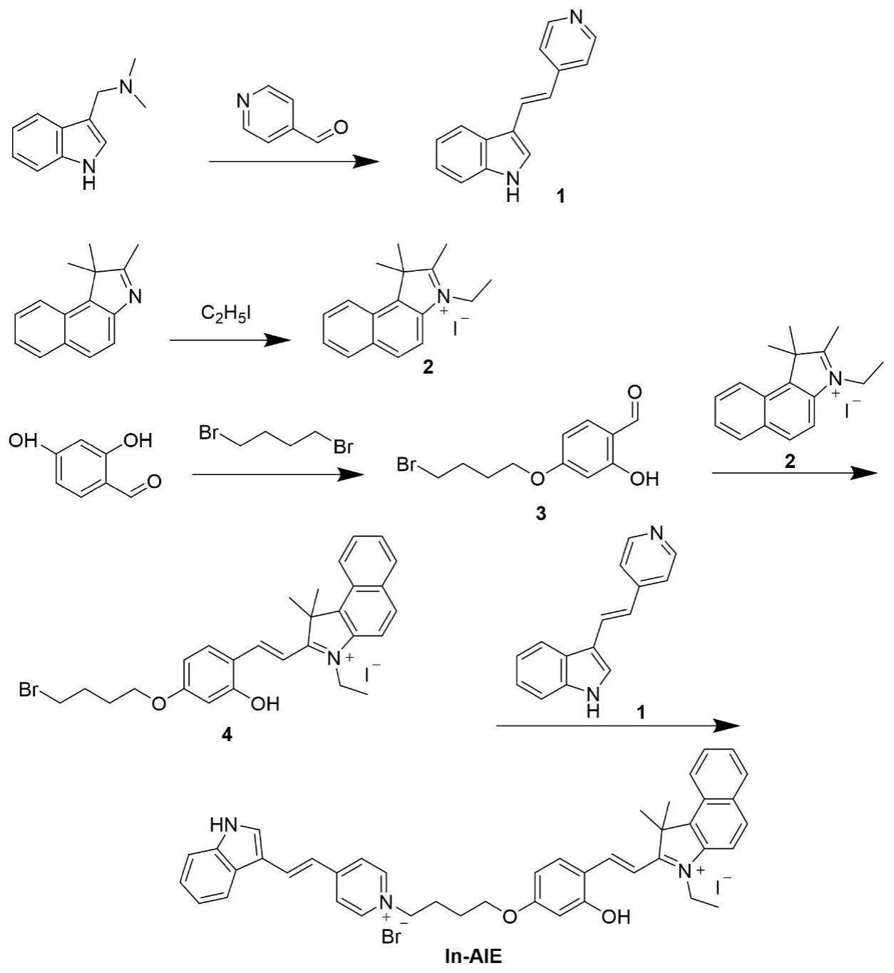 一种有机化合物生物探针及其制备方法与应用