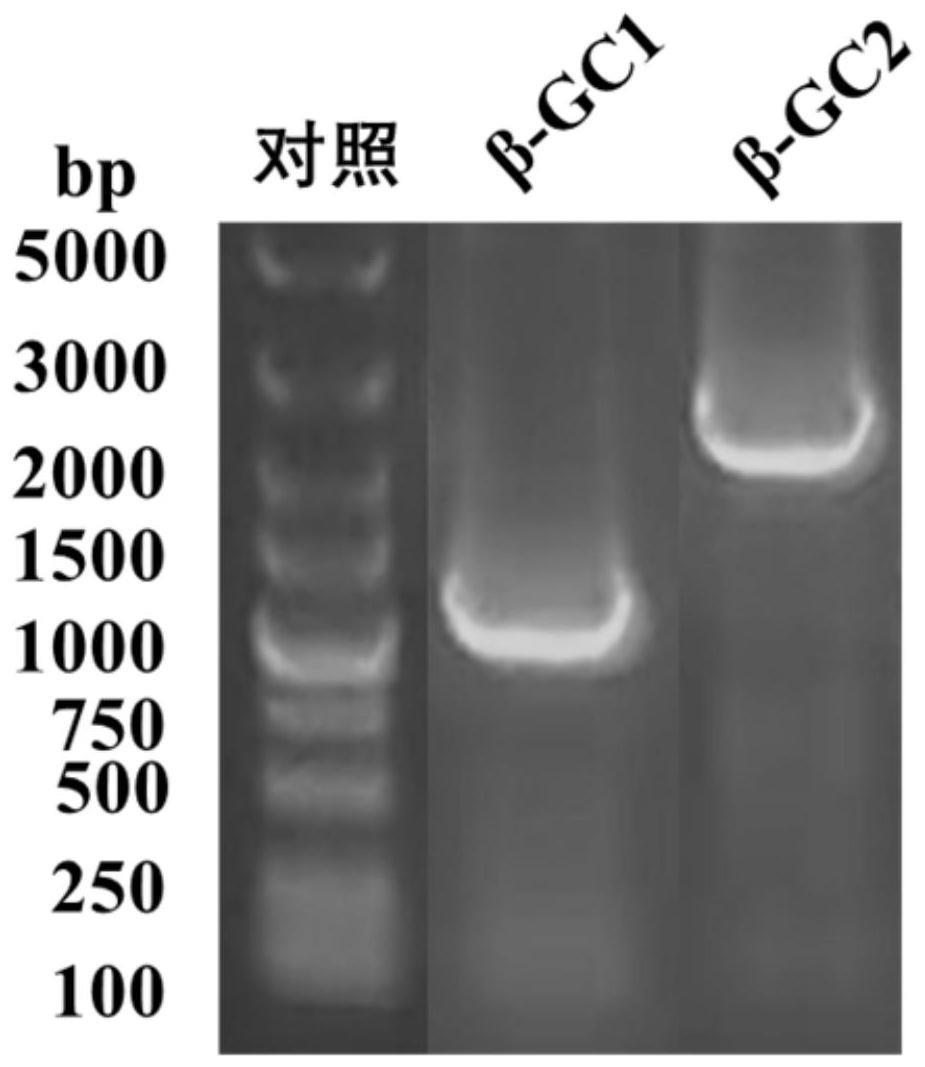 一种重组酵母菌株及其在生物转化人参二醇型皂苷中的应用