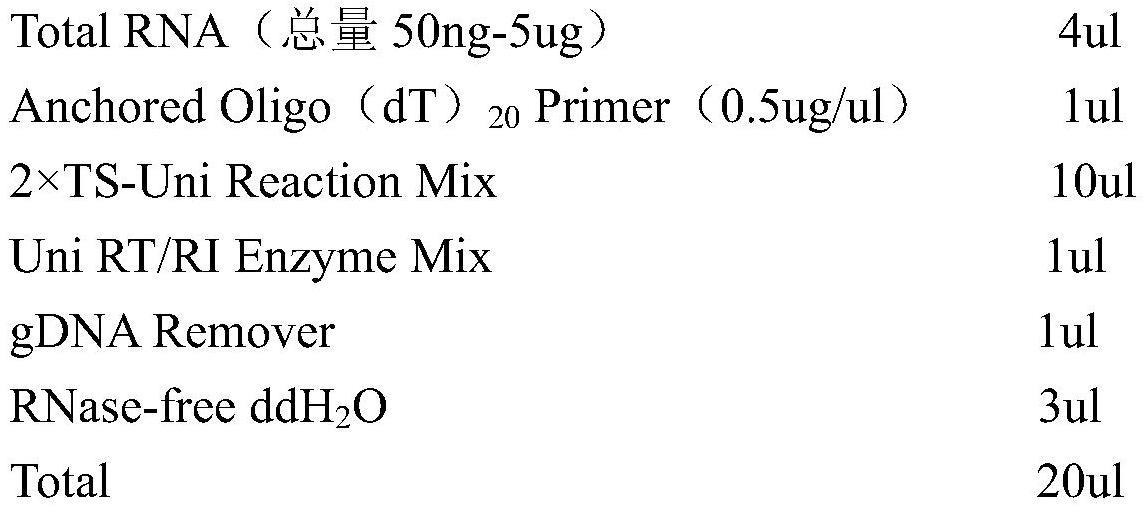 调控玉米穗位高和花期的蛋白及其编码基因和应用