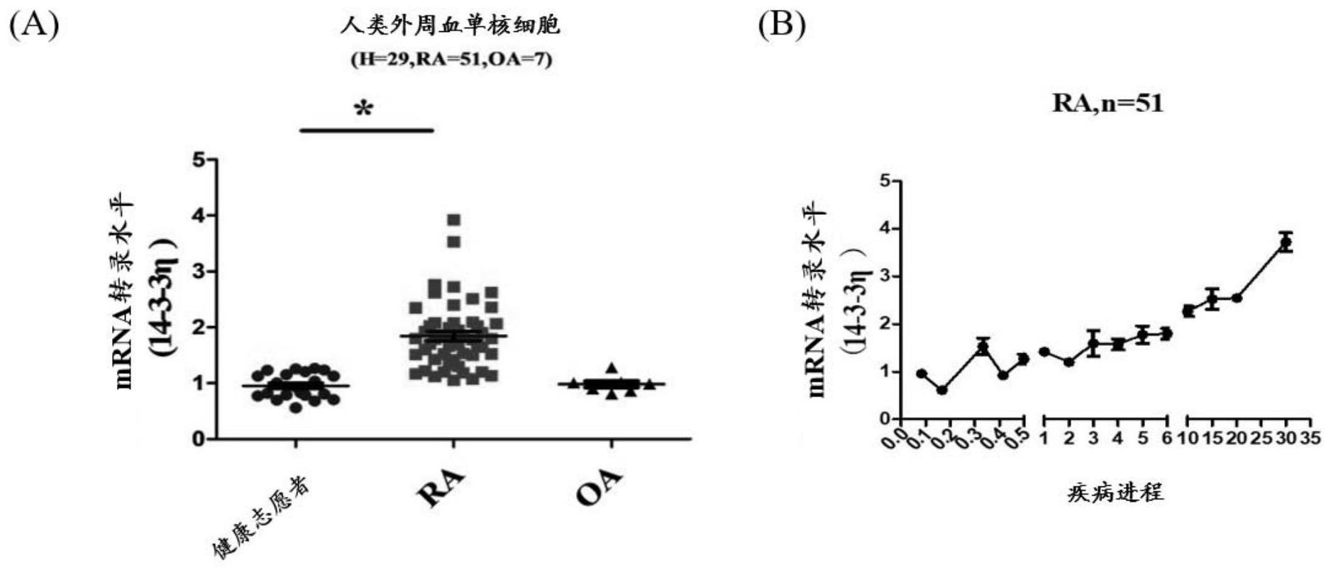 14-3-3η蛋白或其编码基因的新用途