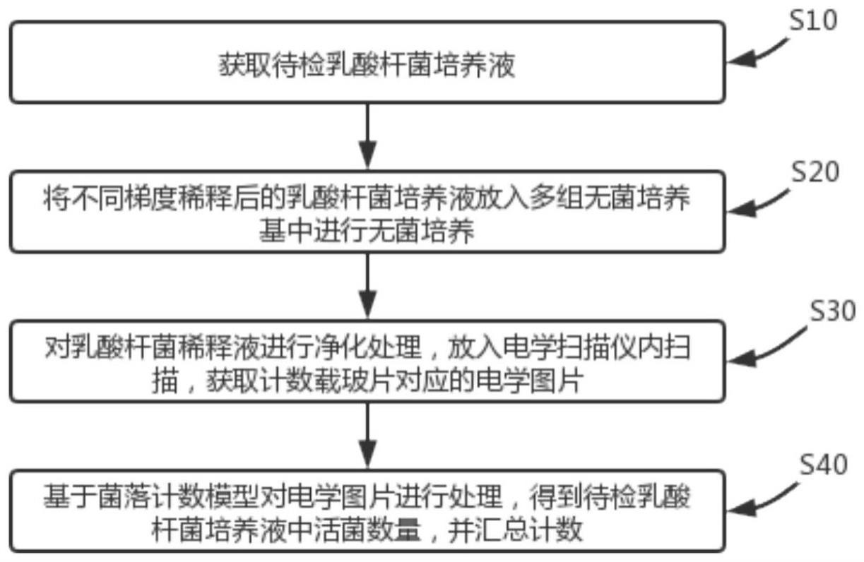 一种乳酸杆菌的活菌计数方法与流程