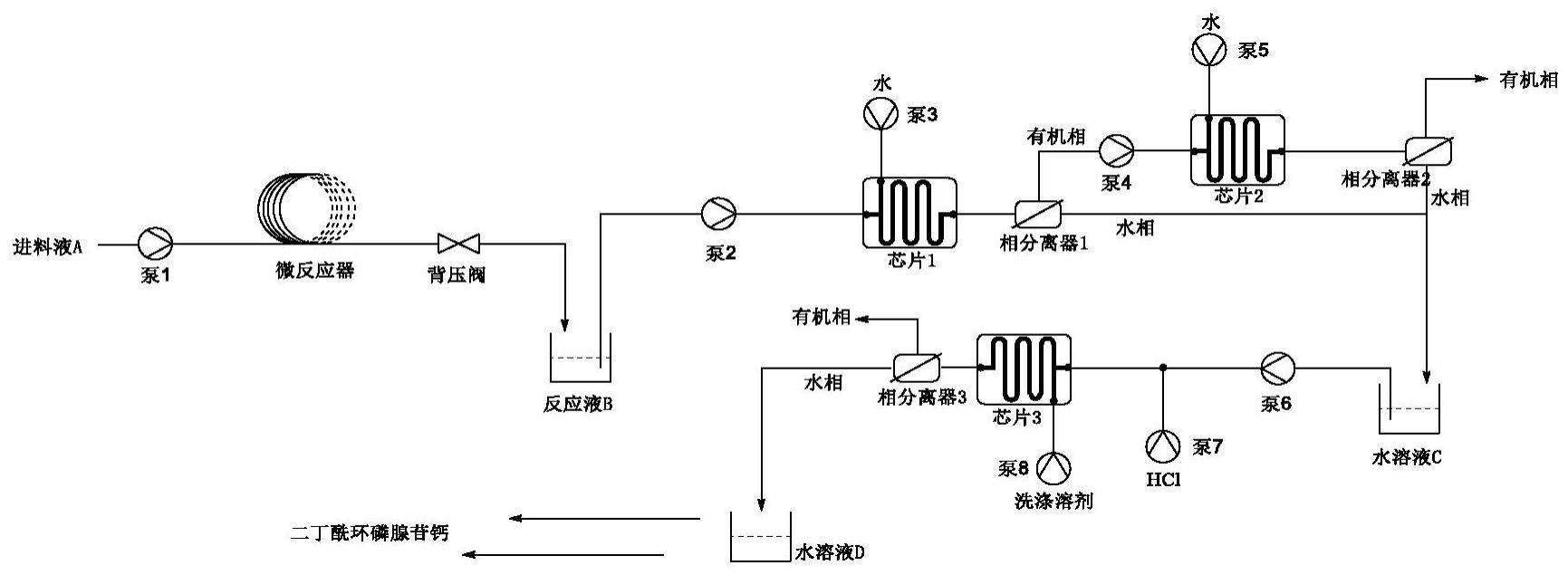 二丁酰环磷腺苷钙图片