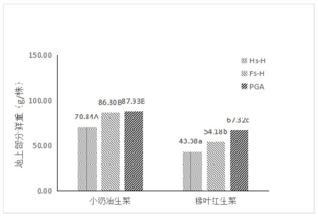 一种水培营养液及其应用