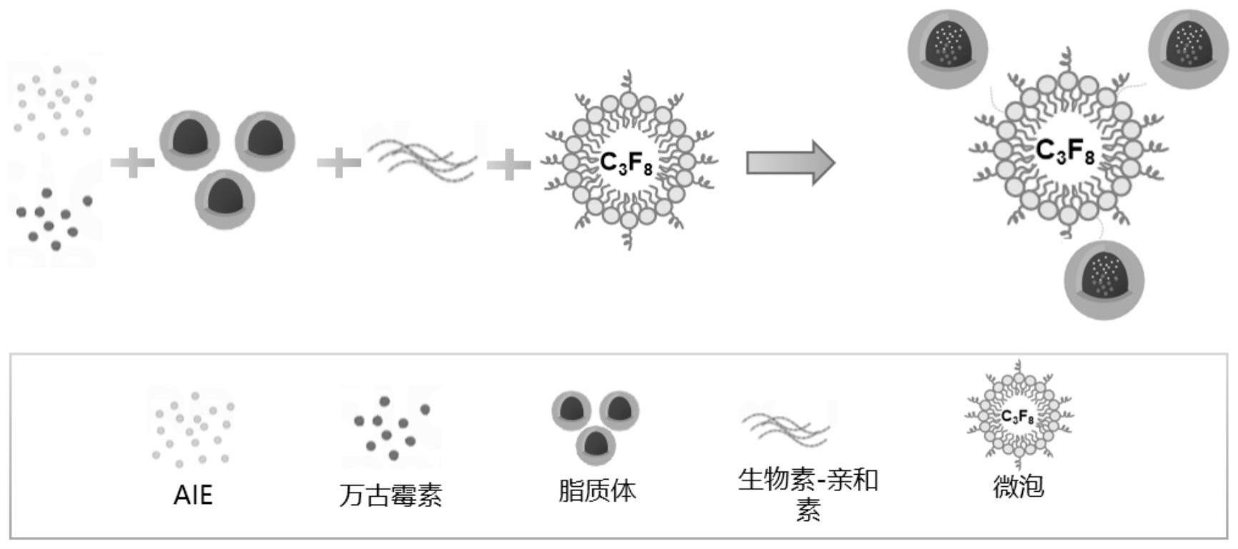 靶向负载AIE及万古霉素的脂质体微泡复合物制备方法及应用