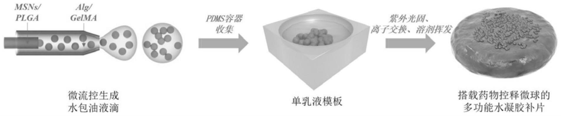 搭载药物控释微球的多功能水凝胶补片的制备方法与应用