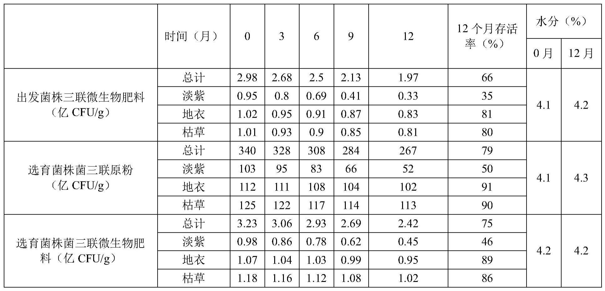 一种有益菌组合物、含其的微生物肥料及其制备方法