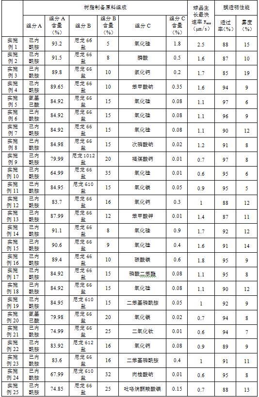 一种透明共聚尼龙膜用树脂及其成膜工艺的制作方法