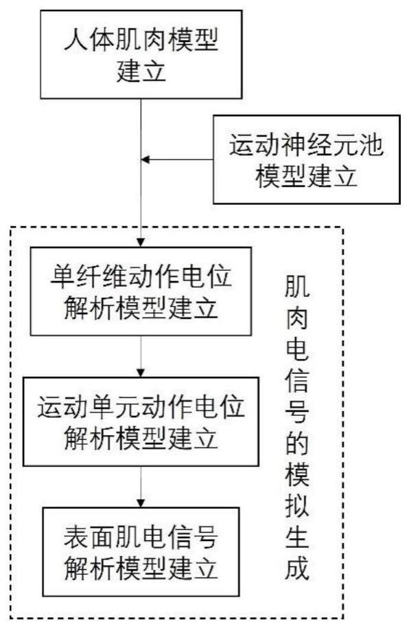 一种基于解析模型的表面肌电信号生成方法