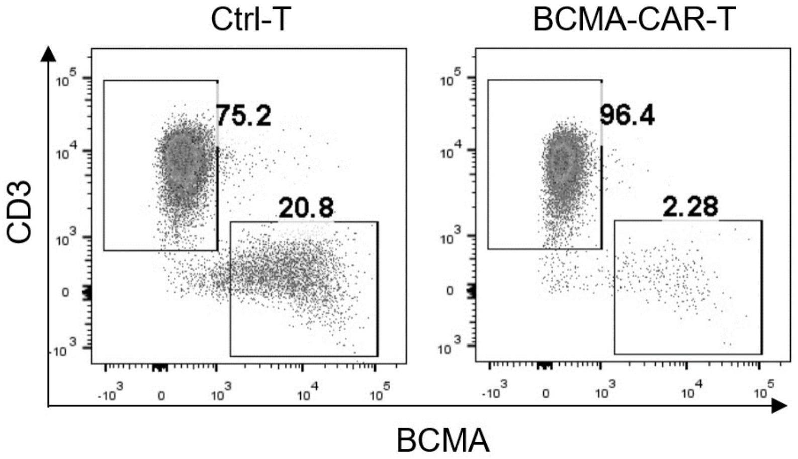 一种抗BCMA的单克隆抗体及其制备方法和应用