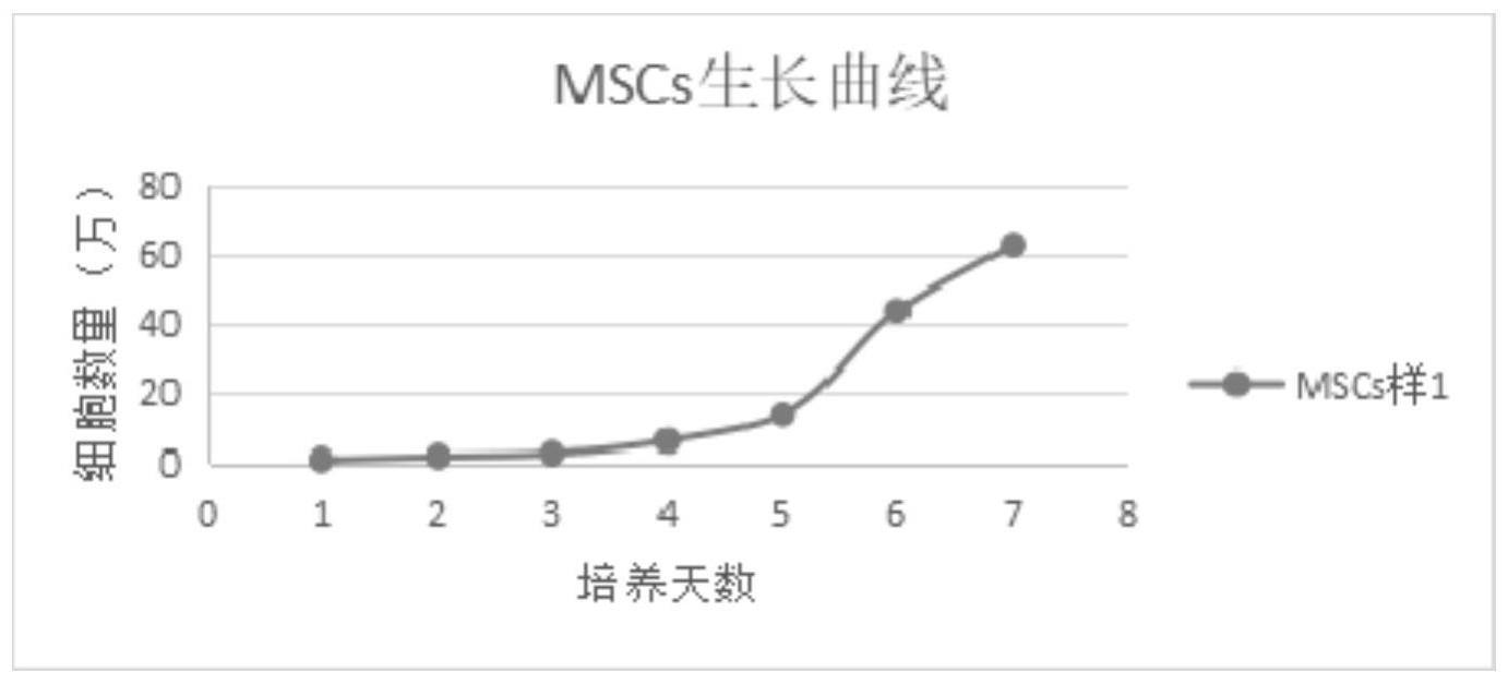 具有修复皮肤光老化功能的间充质干细胞及其制备方法和应用与流程