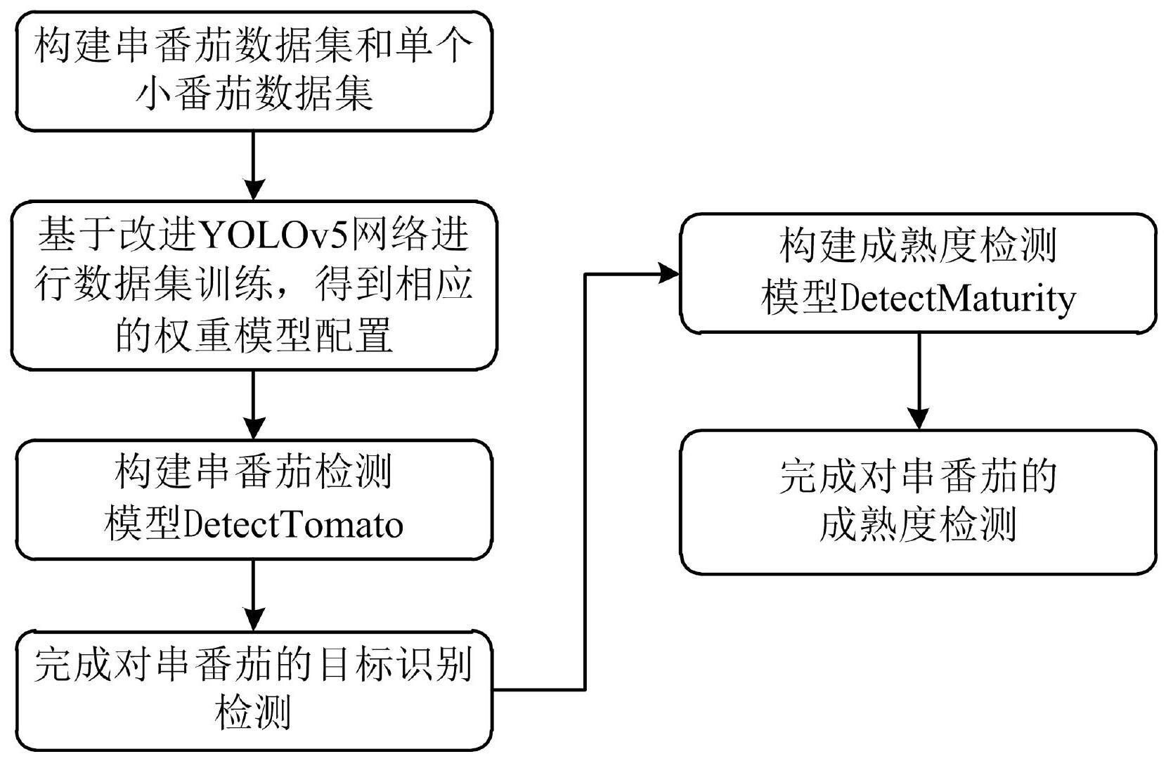 基于改进YOLOv5网络的串番茄成熟度的检测方法