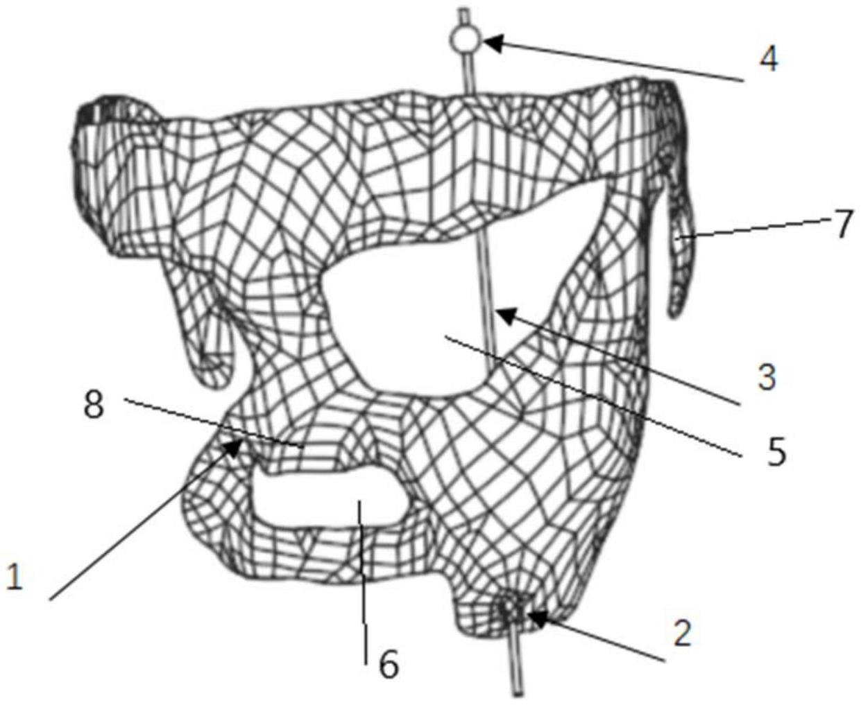 一种3D打印的三叉神经穿刺导板的制作方法