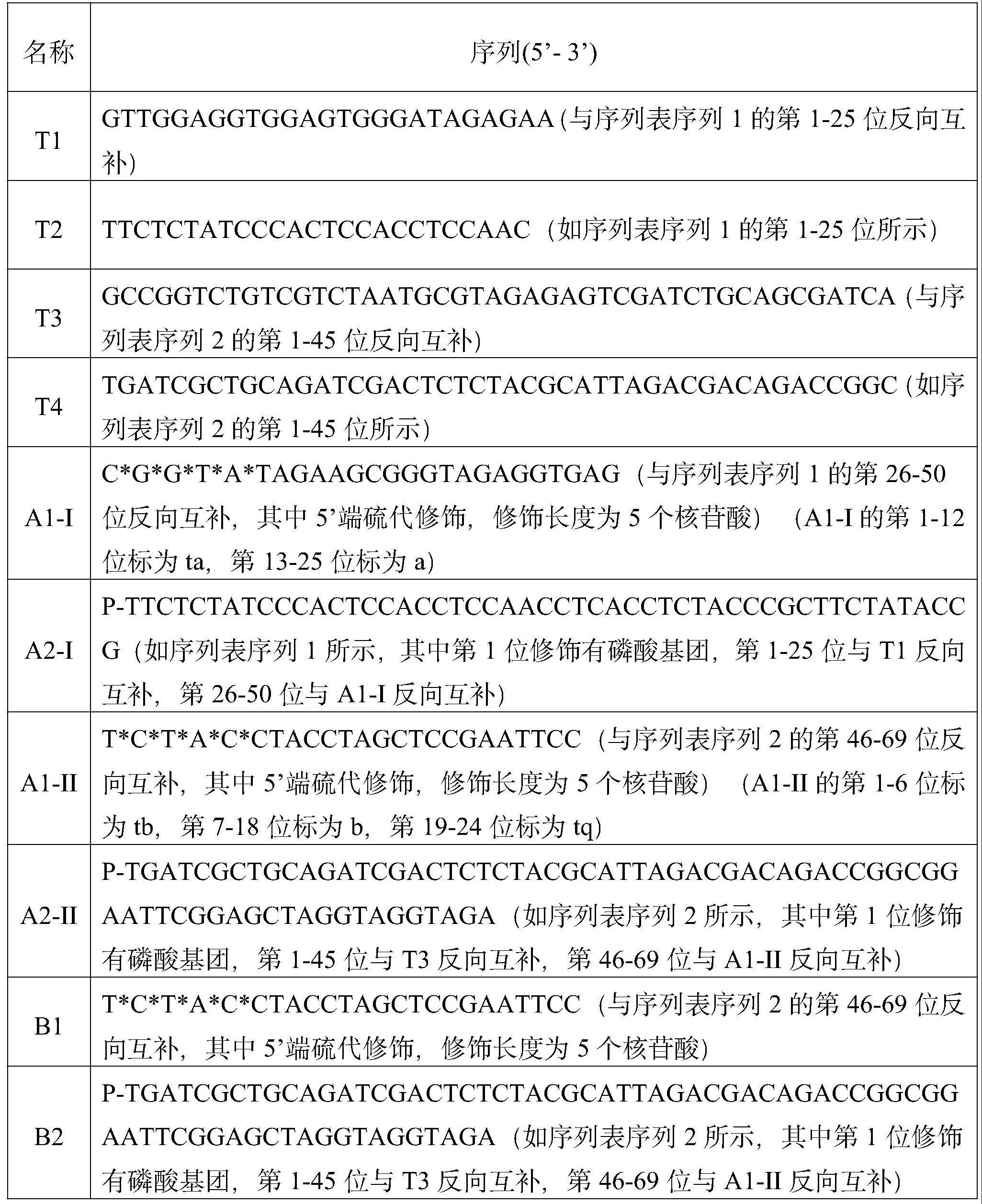 一种响应双链核酸的DNA分子电路及其使用方法