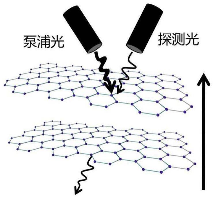 一种测量双层石墨烯薄膜体系中声子-激子耦合强度的方法