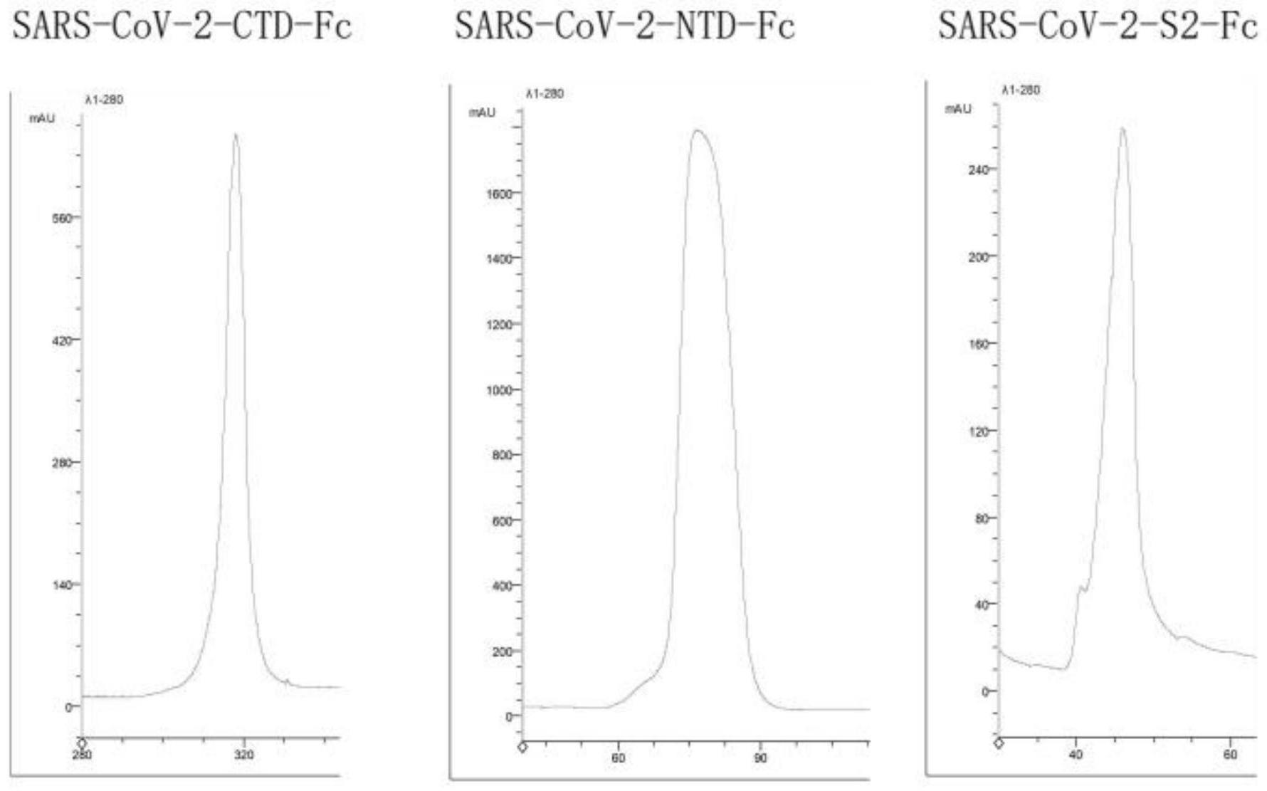 一种融合蛋白及其在制备SARS-CoV-2疫苗中的应用的制作方法