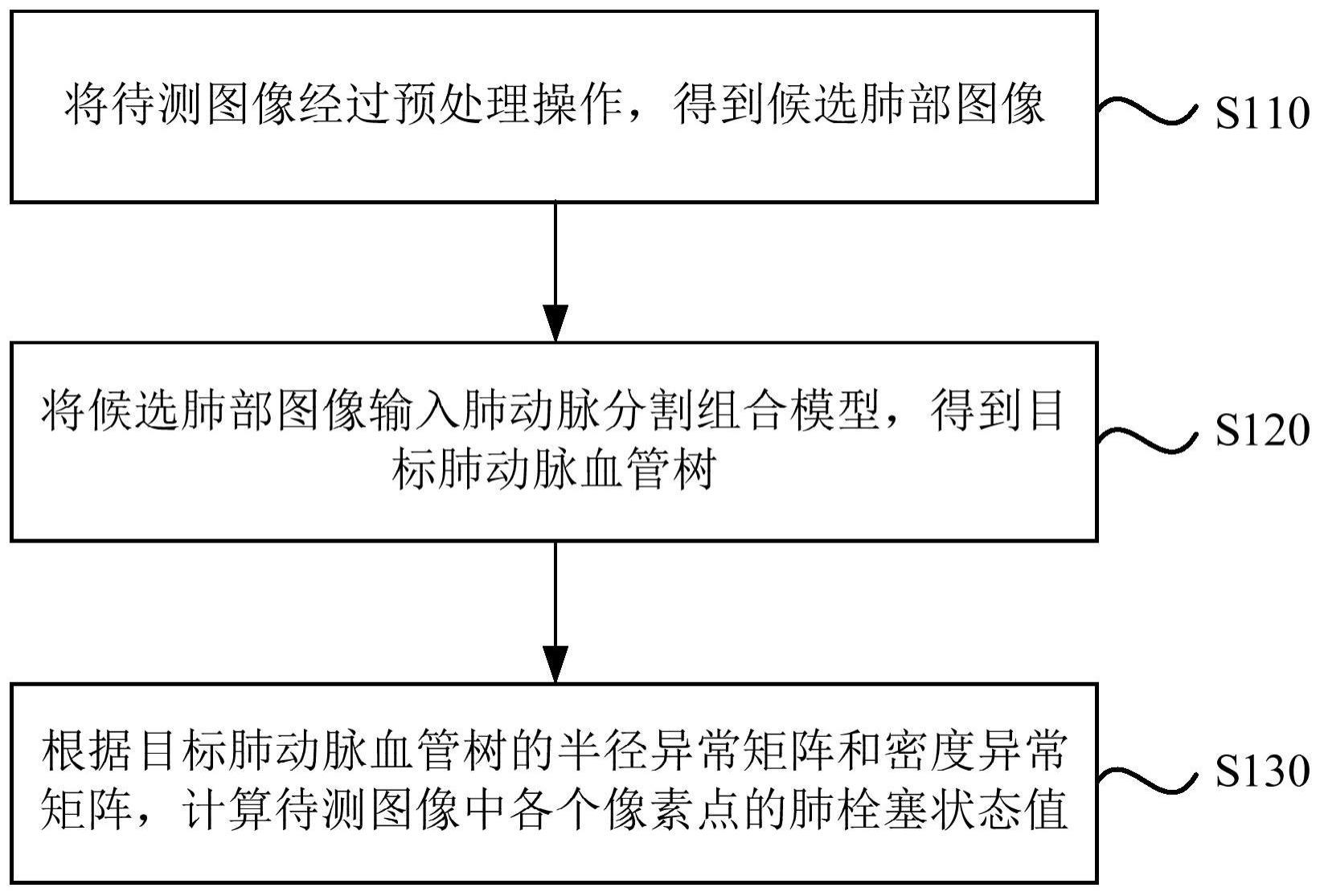 一种肺栓塞图像的处理方法、装置、设备及存储介质与流程