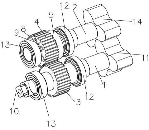 一种提高罗茨泵同步齿轮连接刚性的装置的制作方法