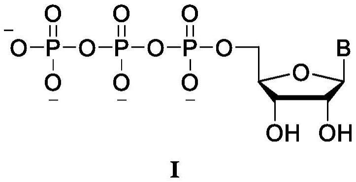 一种修饰核苷三磷酸的制备方法与流程